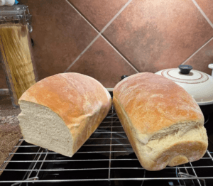 sandwich bread recipe