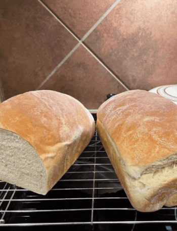 sandwich bread recipe