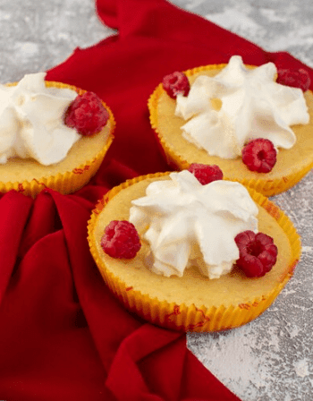 mini cheesecake recipe​