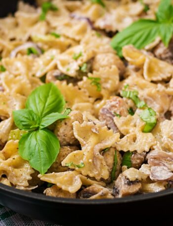 bow tie pasta recipes​